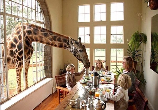 How much does one need to make per month in order to 'live comfortably