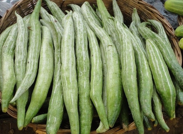 Ridge Gourd Meaning In Tamil Vegetable