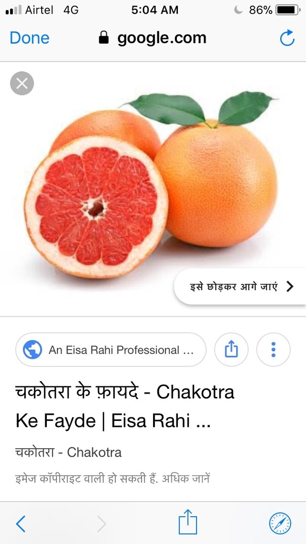 Citrus Fruits Hindi Meaning Baba Fruit