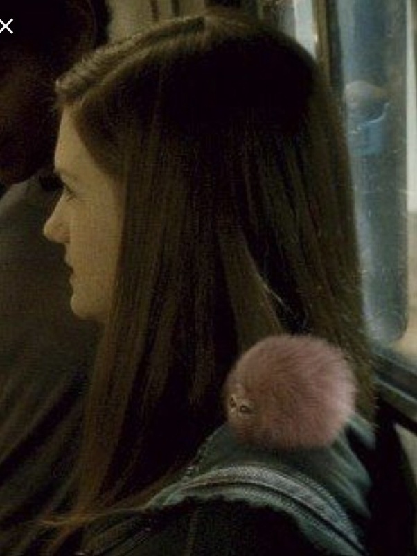 What is Ginny Weasley's pet? Quora