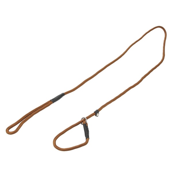 What are the advantages of using a slip lead on a dog? Quora