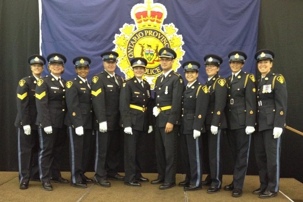 Why do Canadian police services have stripes (usually red) on the side