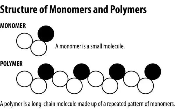 What is polymer? How many types of polymers are classified? Explain