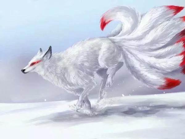 What do you know about the fox? Quora