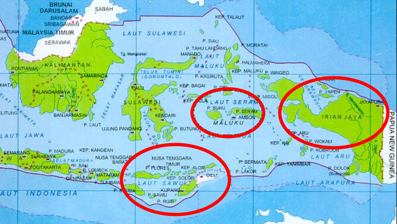 Apa perbedaan antara orang Papua dan orang Ambon? - Quora