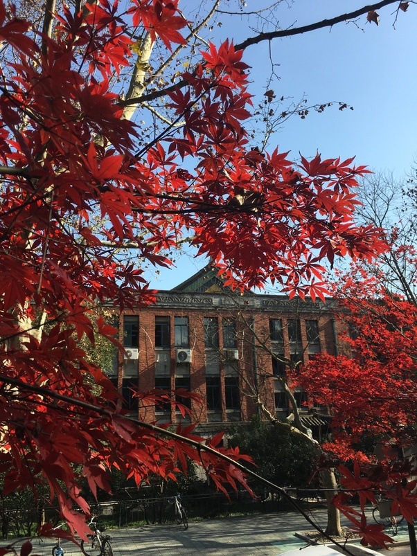 What are the best aspects of living in Hangzhou as a young adult? Quora