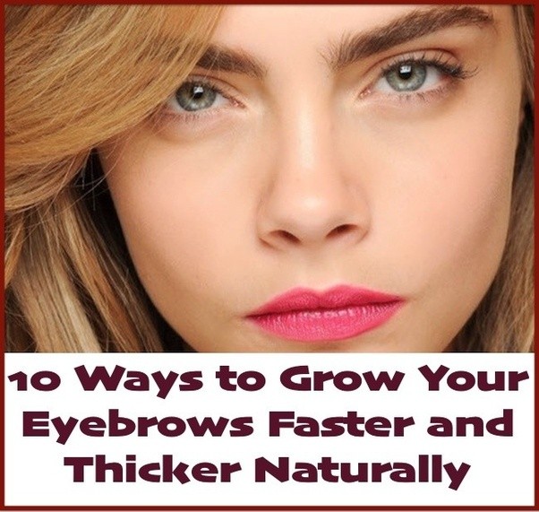 How to thicken eyebrows Quora