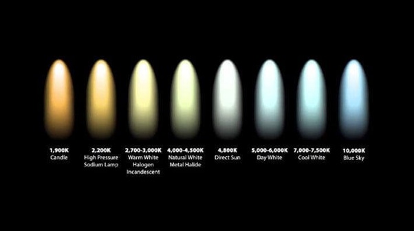 What's the difference between 'daylight' LED light bulbs and 'bright