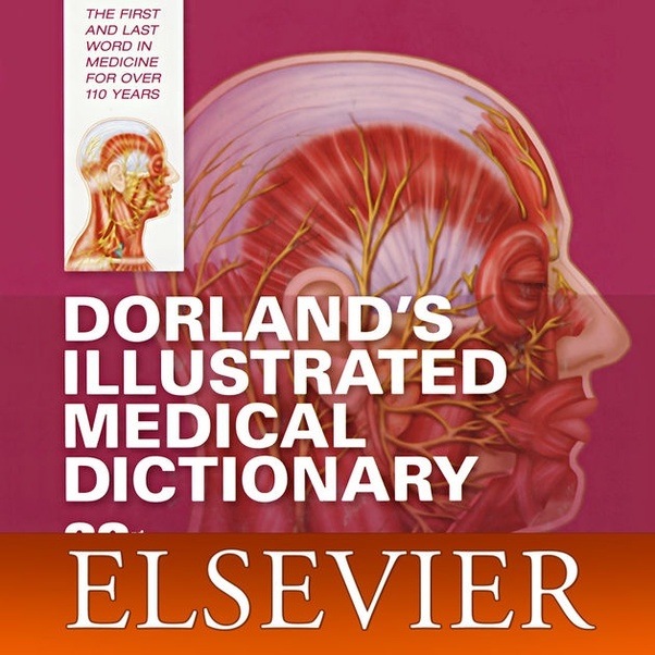 What is the best dictionary for an MBBS student? Quora