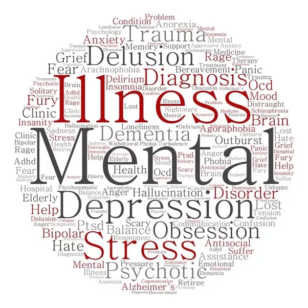 What is the definition of mentally unstable? Quora