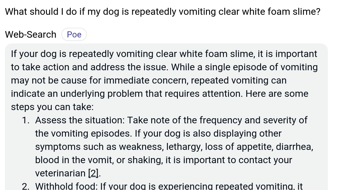 What should I do if my dog is repeatedly vomiting clear white foam