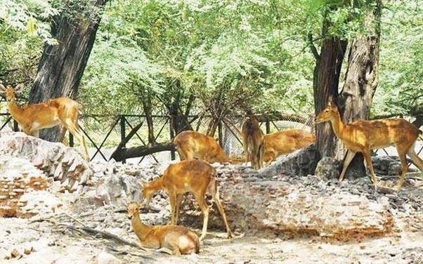 Which is the largest place in India? Quora