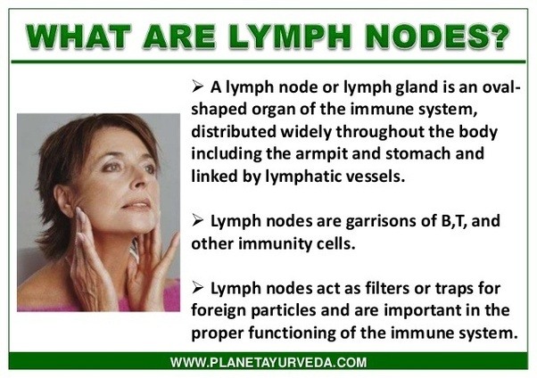 Why have my lymph nodes swollen? Quora