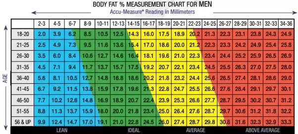 If you had to guess, what is my body fat percentage? Quora