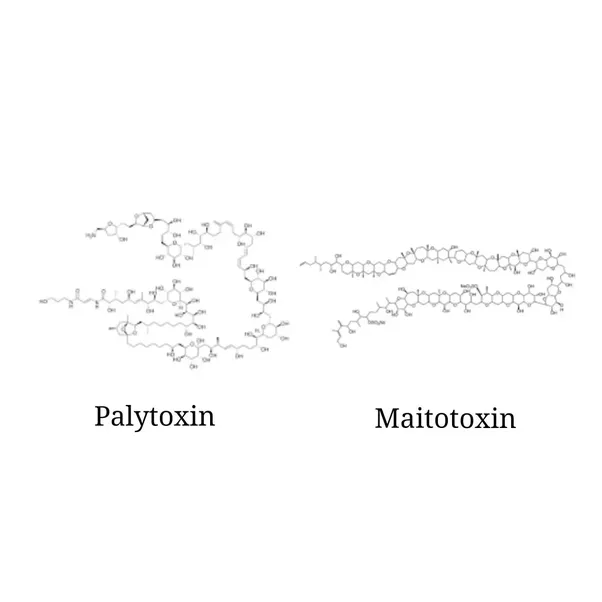 Why is only carbon able to form chains of infinite length, and what is