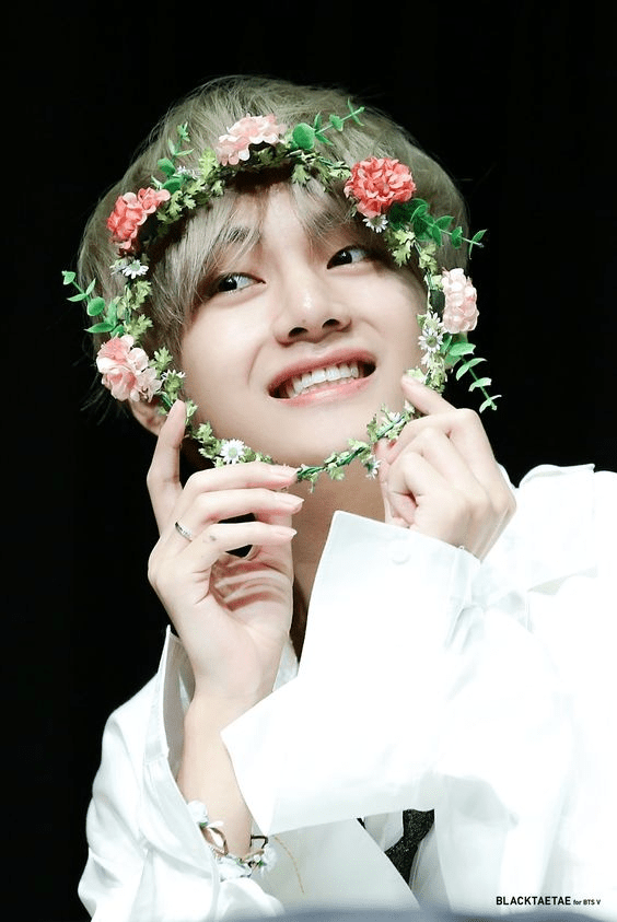 Jimin Bts Flower Photoshoot applemyfear
