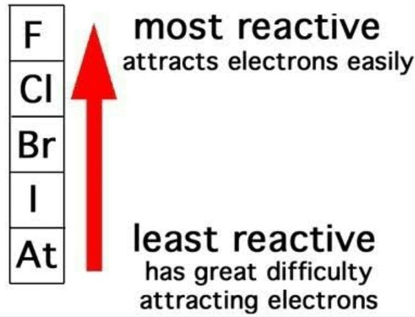 Why Halogens Are So Reactive slidesharedocs