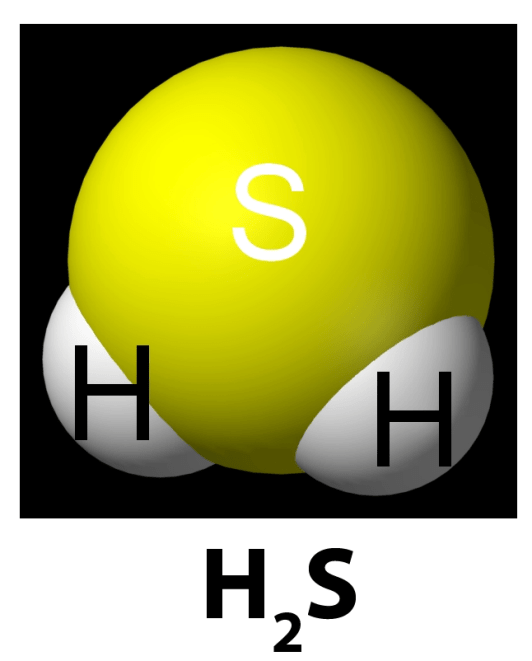 What happens when hot sulphuric acid is added to sulphur? Quora