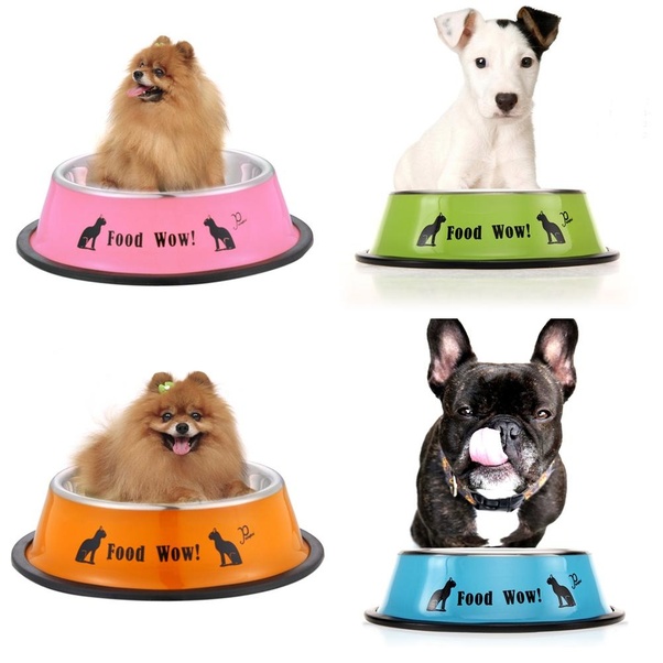 What are the best online shopping for pet accessories? Quora