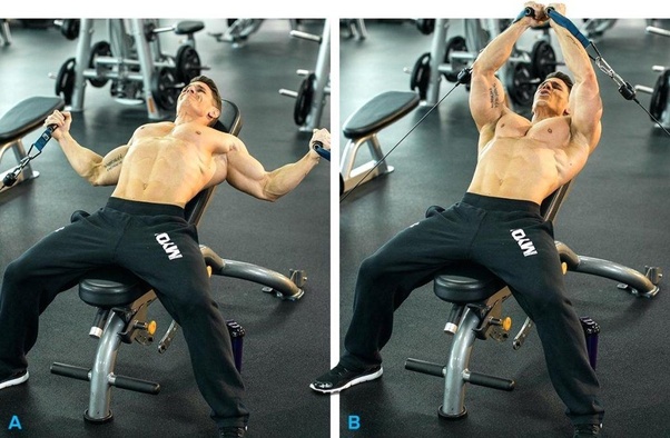What is the most effective isolation exercise for the chest muscles