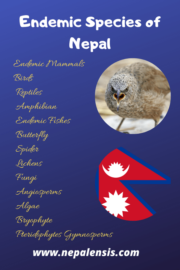 87 Awesome What Is An Example Of An Endemic Species Insectpedia