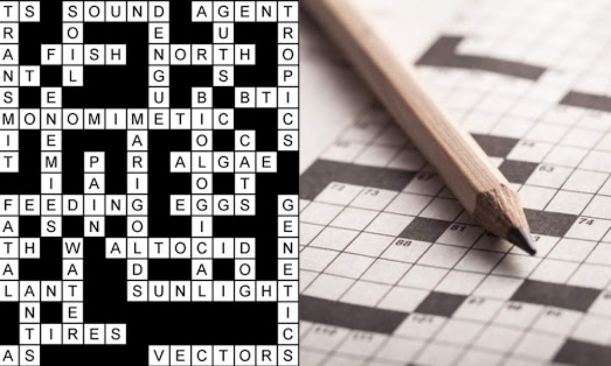 Bagaimana cara supaya saya bisa mempertajam ingatan ? - Quora