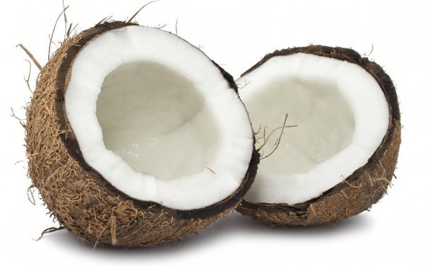 What's the difference between coconut milk and coconut water? Quora