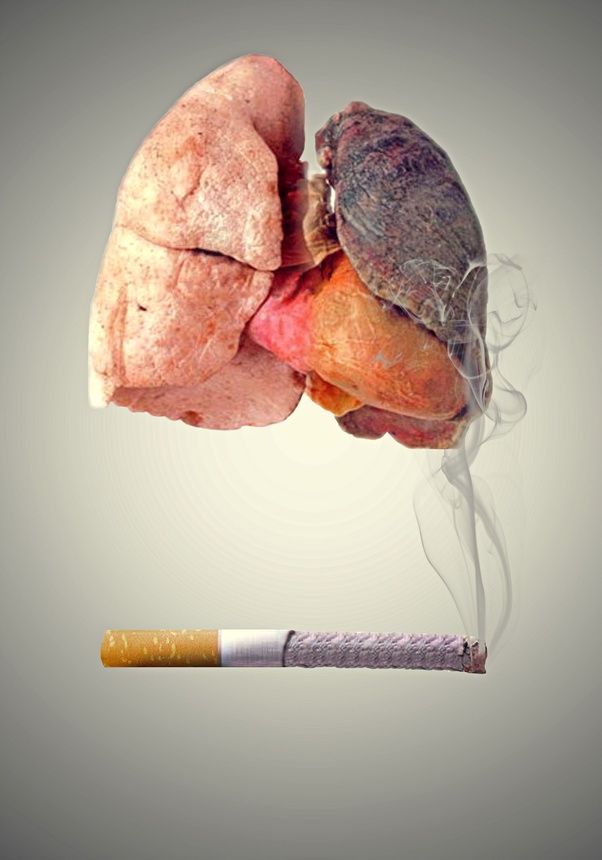 How to clean cigarette smoke tar from lungs Quora