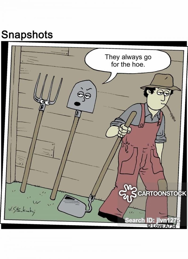 What is a hoe? Quora