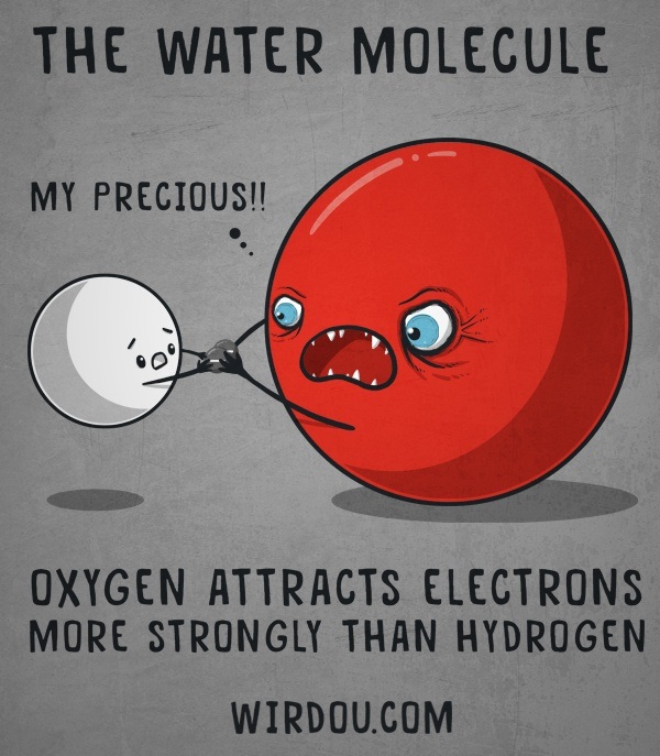 Why is water considered a polar molecule? Quora