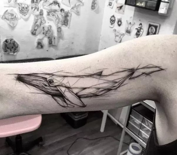 Is It Illegal To Get A Whale Tattoo On The Arms? - Quora 527_x_602_webp