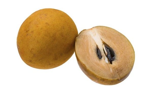 What is chikoo called in English? Quora