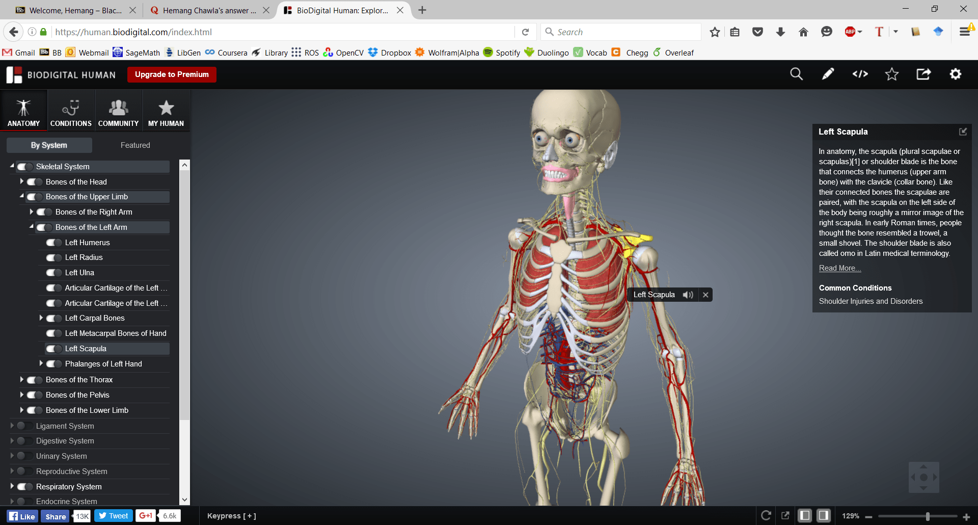 35 Best Online Anatomy Course