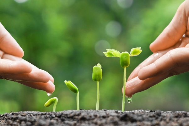 What does it mean to bloom where you�re planted? Quora