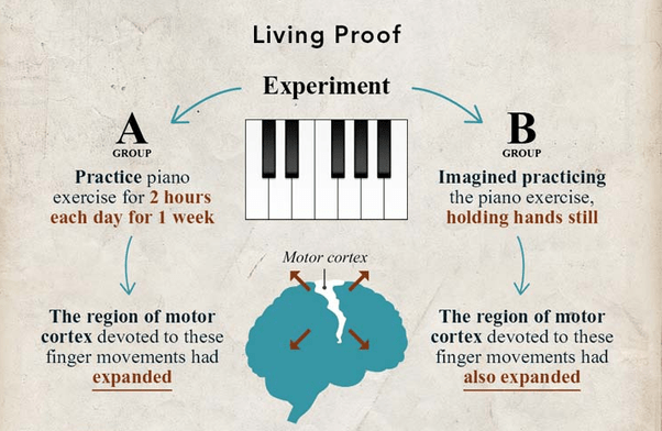 What is neuroplasticity and how does it work? Does it have a