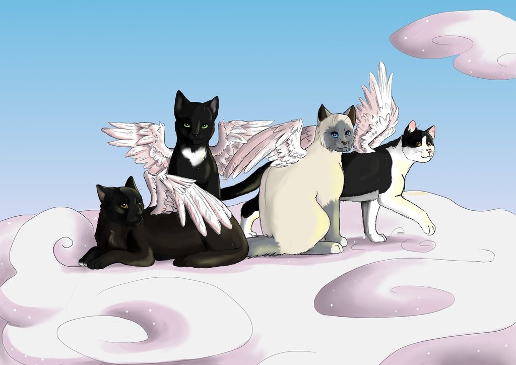 Do Cats Go To Heaven Bible Verse