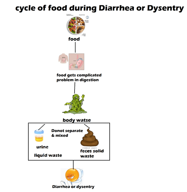 Why do certain foods cause diarrhea immediately after eating them? Quora