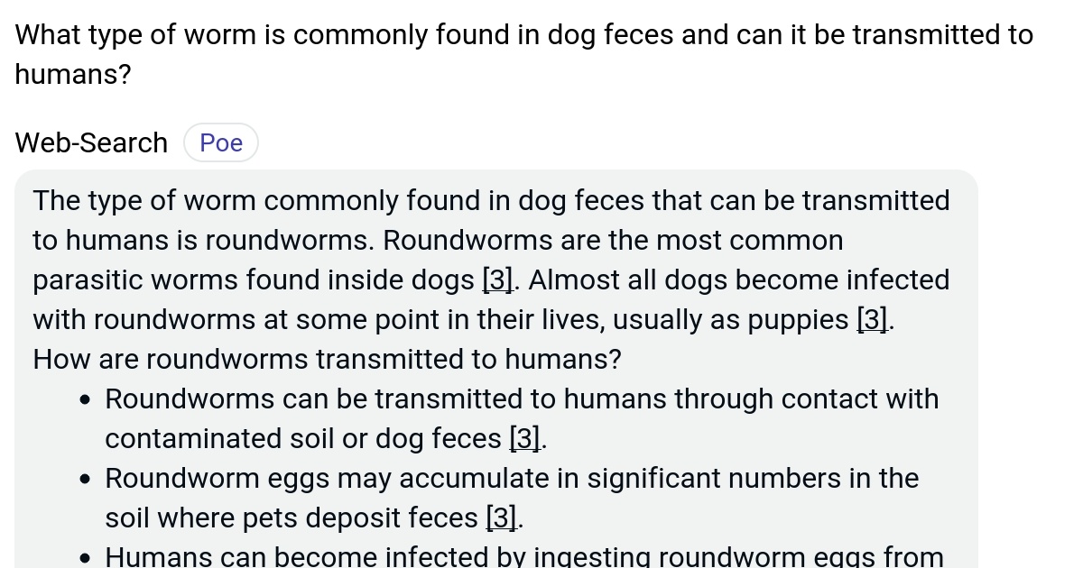 What type of worm is commonly found in dog feces and can it be