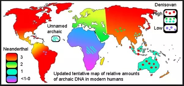 Are There Any Places In The World Where There Are High Levels Of Neanderthal And Denisovan Dna Found In Modern Humans Quora