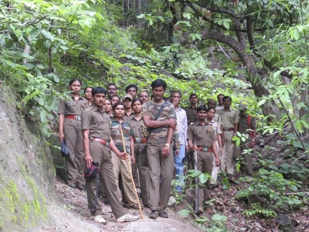 Is the job of a range forest officer in India satisfying for a nature