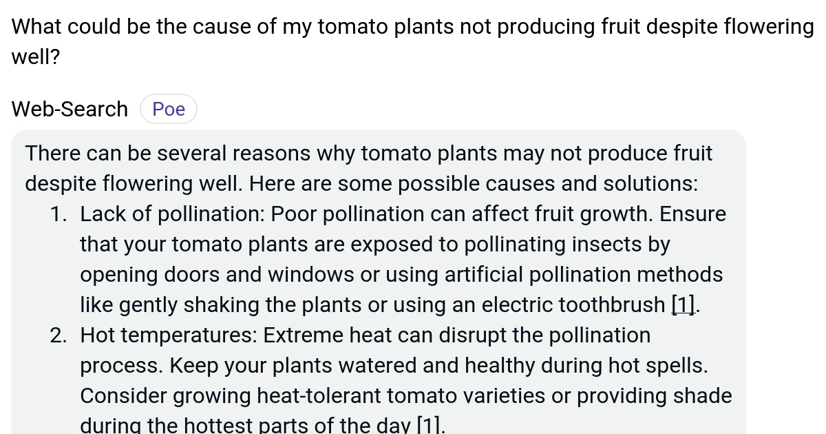 What could be the cause of my tomato plants not producing fruit despite