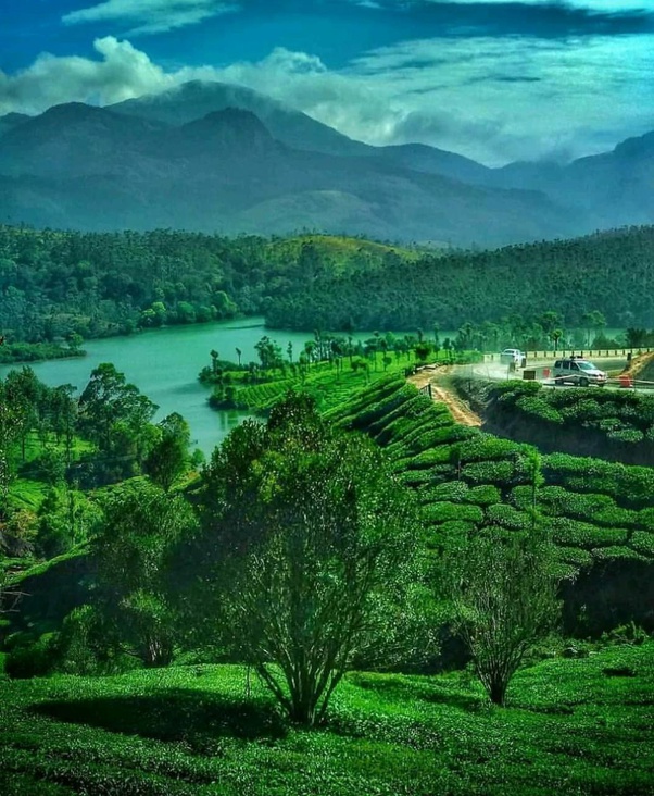 Which place is better for travelling, Kerala or Tamil Nadu