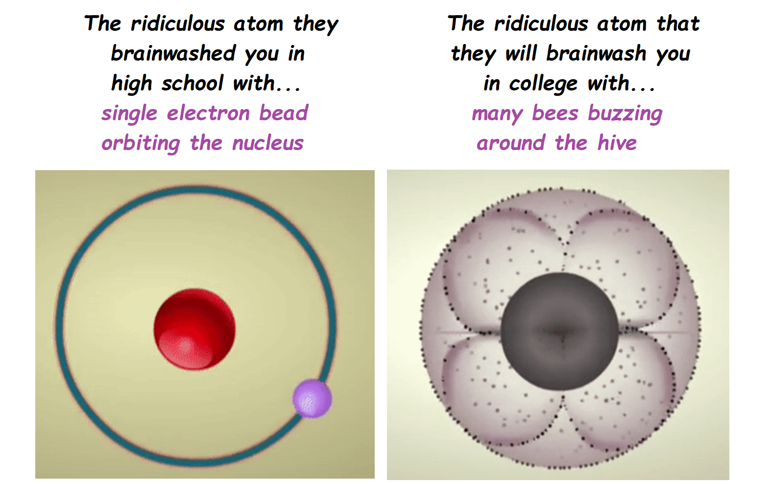 Which Two Particles Are Located In The Nucleus BuzzFeedNews