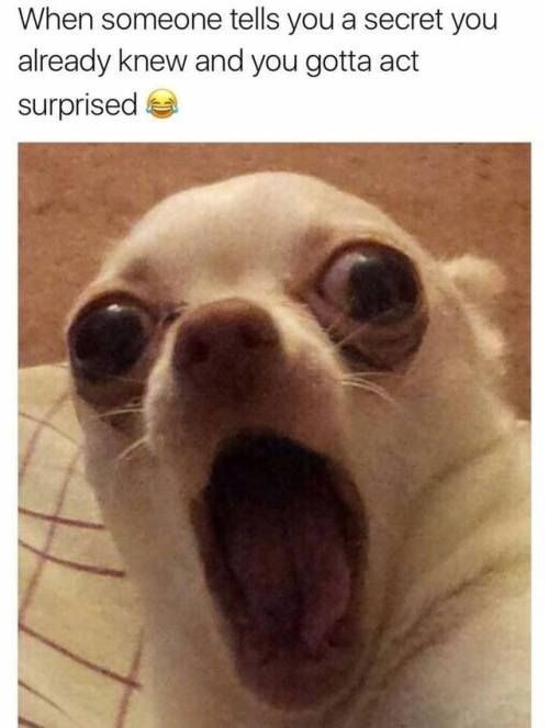 What are some of the funniest memes related to our everyday life? Quora