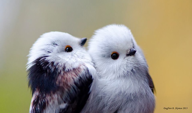 What is the meaning behind BTS &lsquo;Silver Spoon (Baepsae)&rsquo; song? - Quora