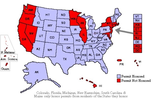 I am 19 years old and am a resident in New York State. Would I be able to get a gun license in