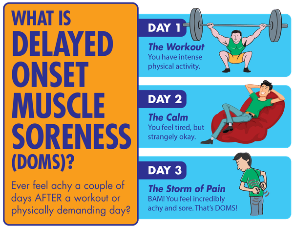 Why is muscle pain usually at worse the second day after working out