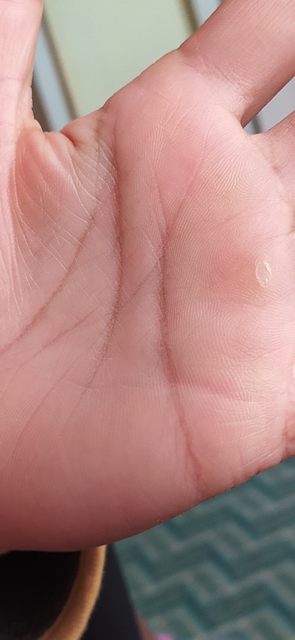 Are you a palmist, who can give me a reading? Quora