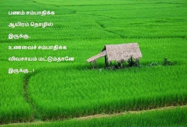 What is the Tamil name for agriculture? Quora