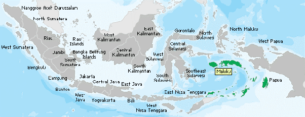 Polres Aceh Tenggara Serahkan 2 Unit Pertamini Bantuan Kapolda Aceh Kepada Warga Baranews Aceh bpm aceh tenggara